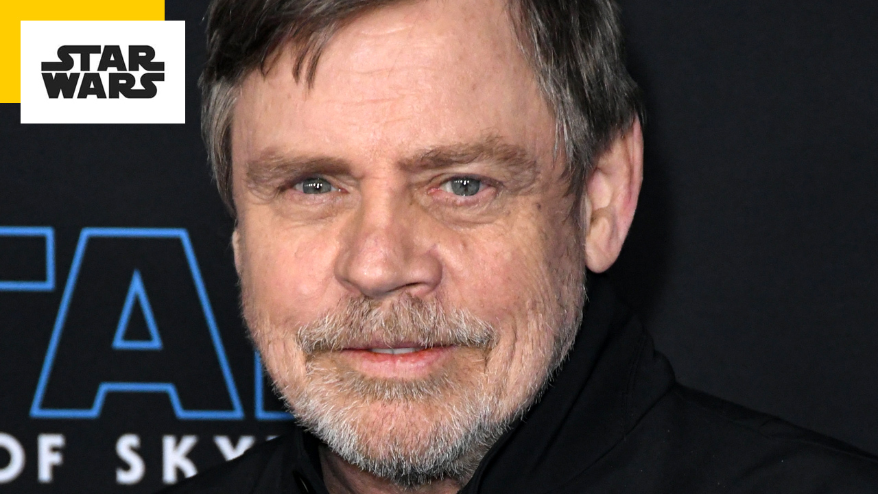 Star Wars : le sabre-laser de Luke Skywalker vendu une fortune aux enchères  - Actus Ciné - AlloCiné