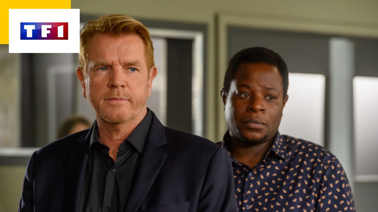 Research Section: Good news for fans of the TF1 detective series