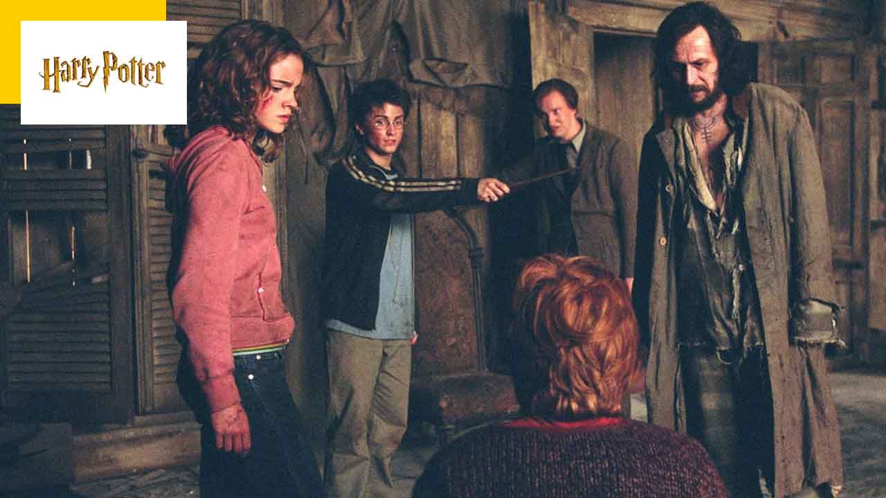 “My performance in Harry Potter is mediocre”: This star did not like his work on the saga at all!