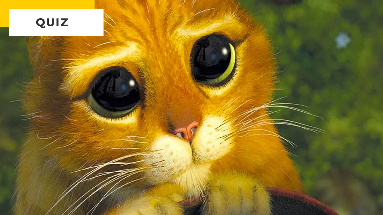Movie Quiz: Can You Identify All These Cats?