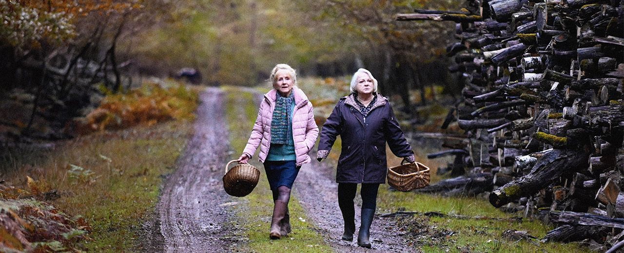 Quand vient l’automne