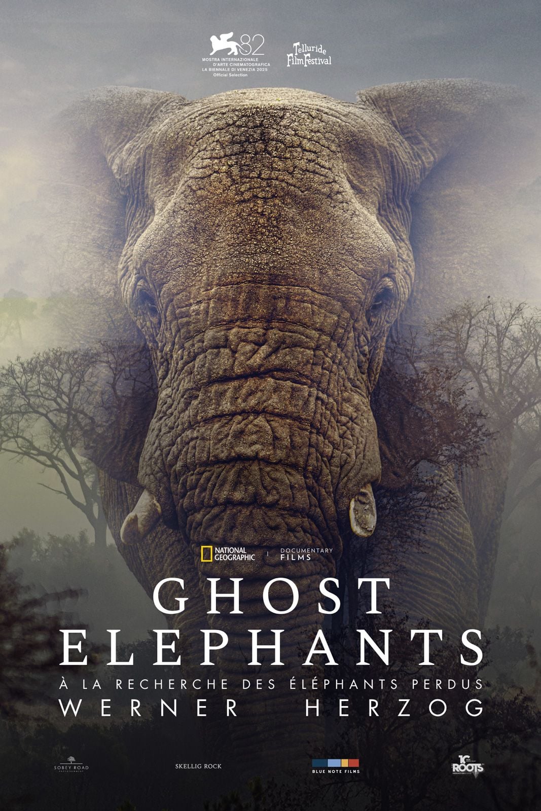 Ghost Elephants streaming gratuit