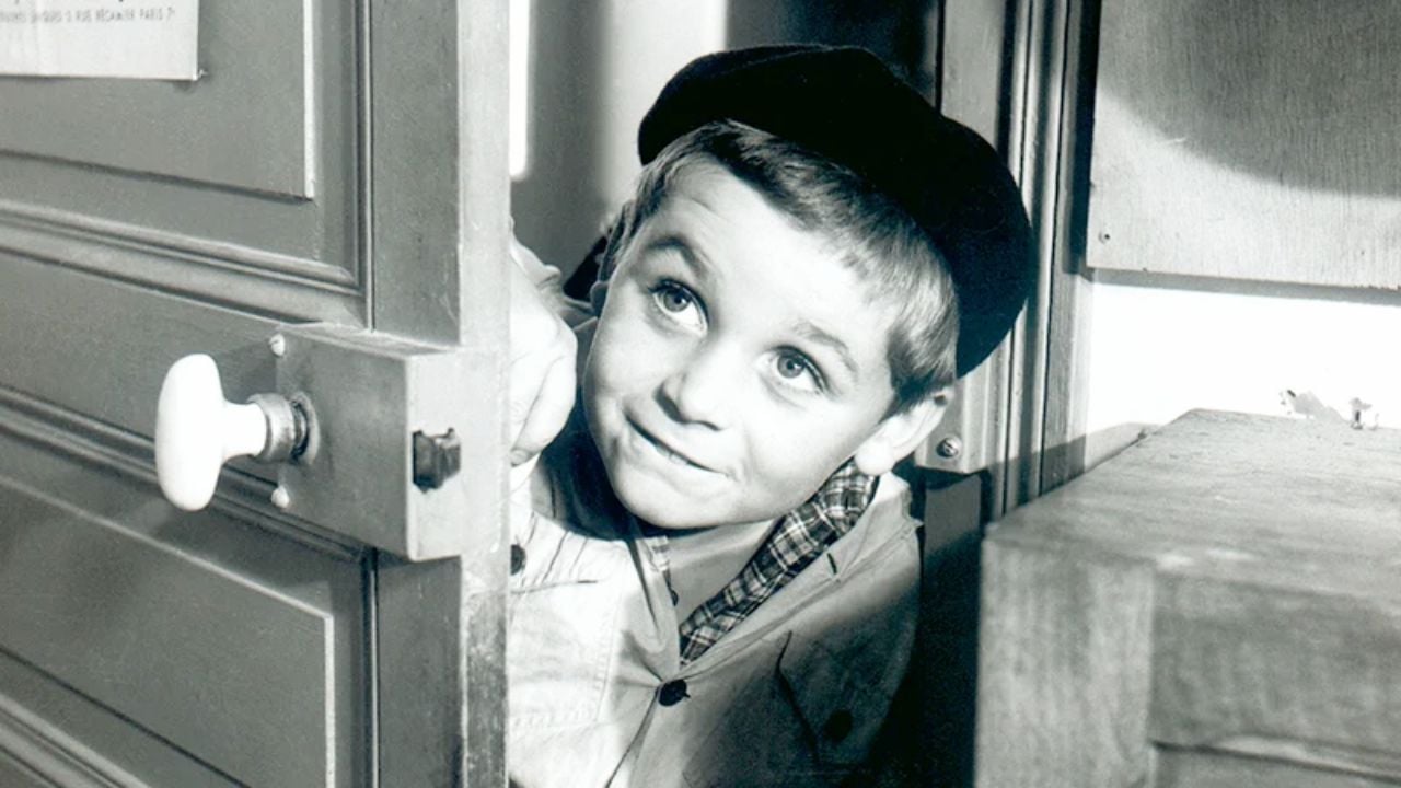 Petit Gibus
