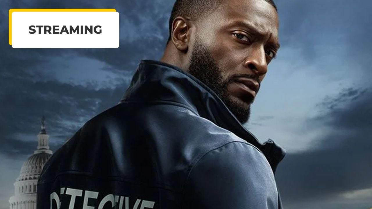 Bigger than Reacher: With 32 novels, this series will be available for streaming soon