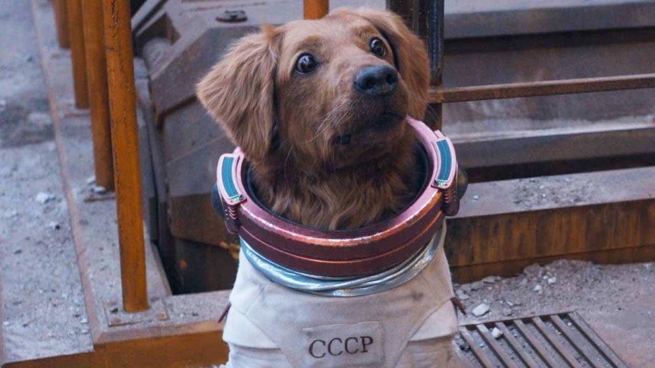 "De qualité, humaniste et puissant" : noté 4,2 sur 5, c'est le meilleur film fantastique de l'année 2023... Et c'est la fin d'une saga culte qui nous manque beaucoup aujourd'hui !