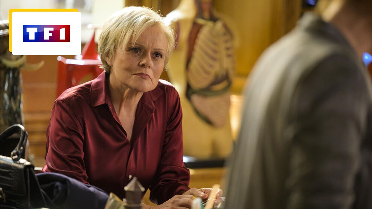 Master Crimes: TF1 breaks down programming for Season 2 tonight
