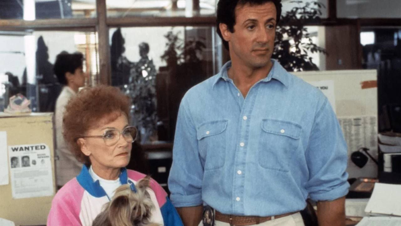 "Dès ce casting, c’était fini !" : depuis 34 ans, Sylvester Stallone regrette d'avoir joué dans ce film pour de mauvaises raisons