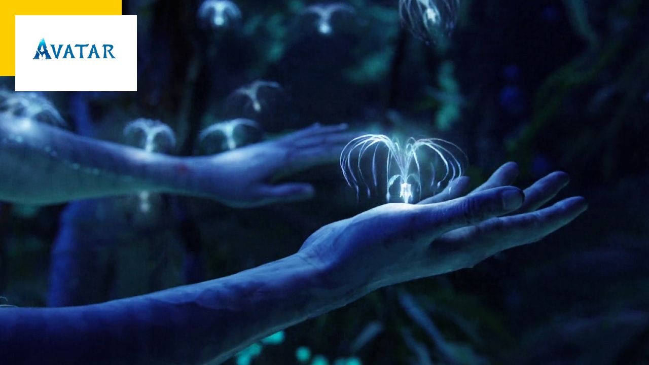 Avatar: This reference to Titanic that James Cameron himself didn’t notice