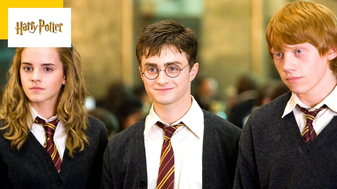 Harry Potter: This Fan Actor Wants to Star in New TV Series, Not Just Any Role!