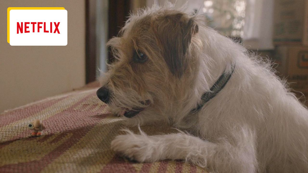 New on Netflix: This charming character will surprise you in a movie rated 4 out of 5