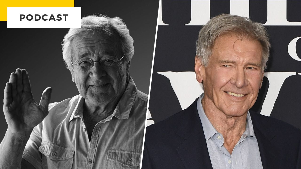 Films Et Séries Tv Avec Annie Milon PODCAST - Richard Darbois : d'Harrison Ford à Buzz l'éclair, pourquoi sa  voix nous marque-t-elle autant ? - Actus Ciné - AlloCiné