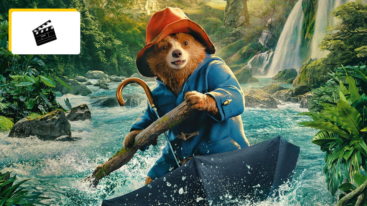 Paddington 3: One of the successes of early 2025?  Meanwhile, the trailer is out!