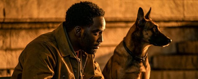 Shamier Anderson dans 