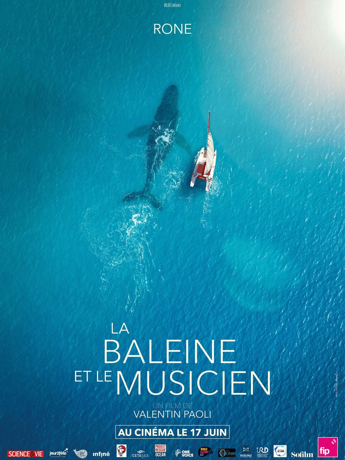 La Baleine et le musicien streaming gratuit