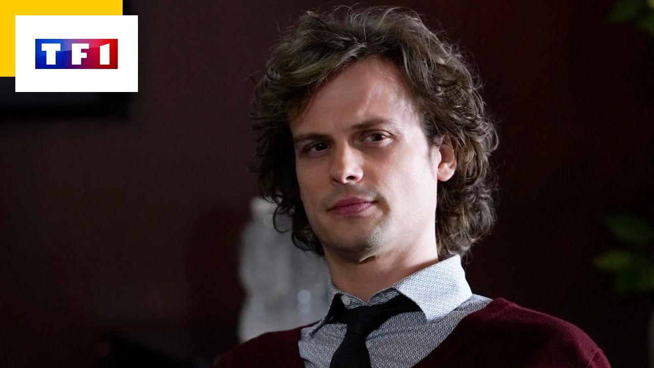 Esprits Criminels Sans Reid : Pourquoi Matthew Gray Gubler Est-il ...