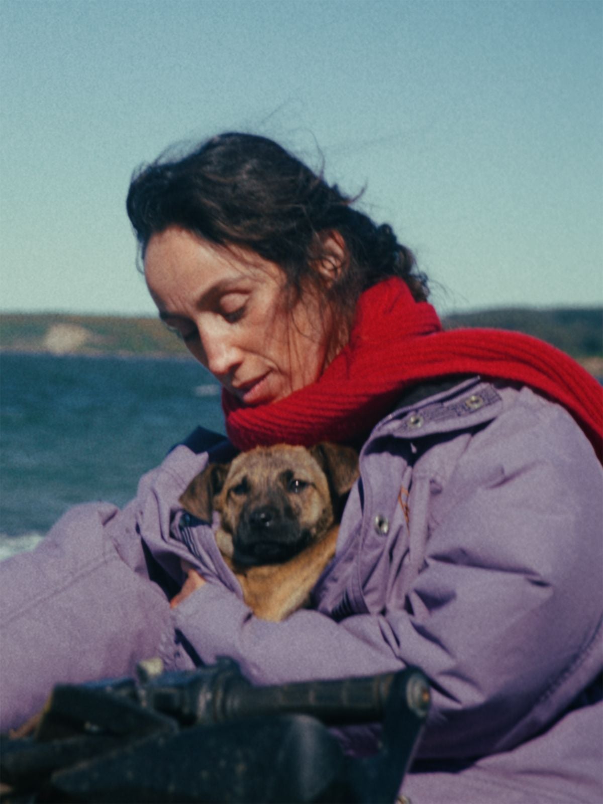 La Chienne