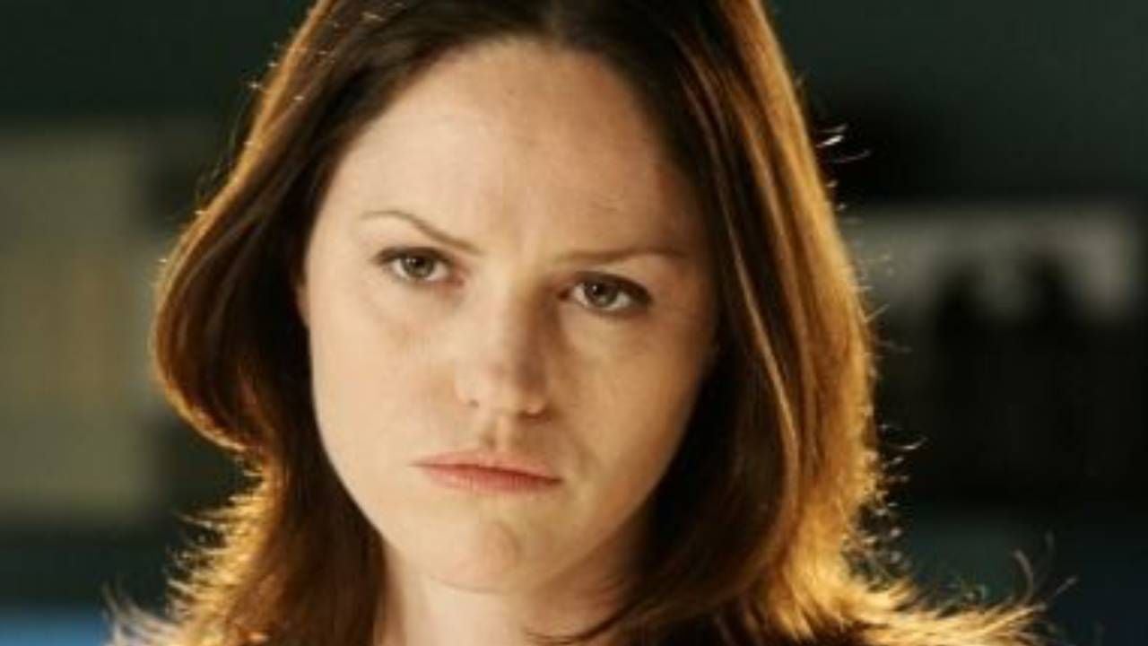 Jorja Fox, Alias ​​Sara Sidle