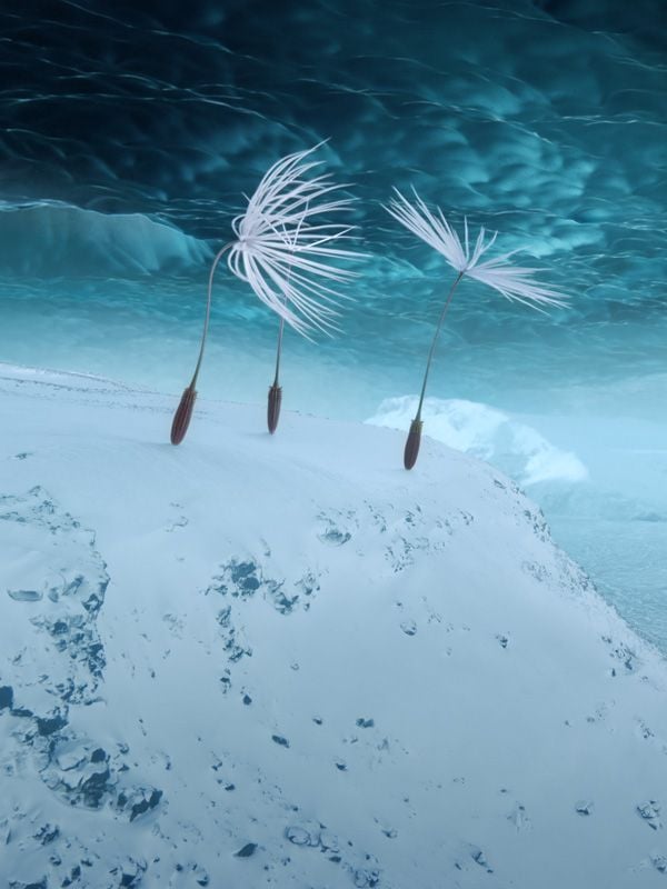 Planètes streaming gratuit