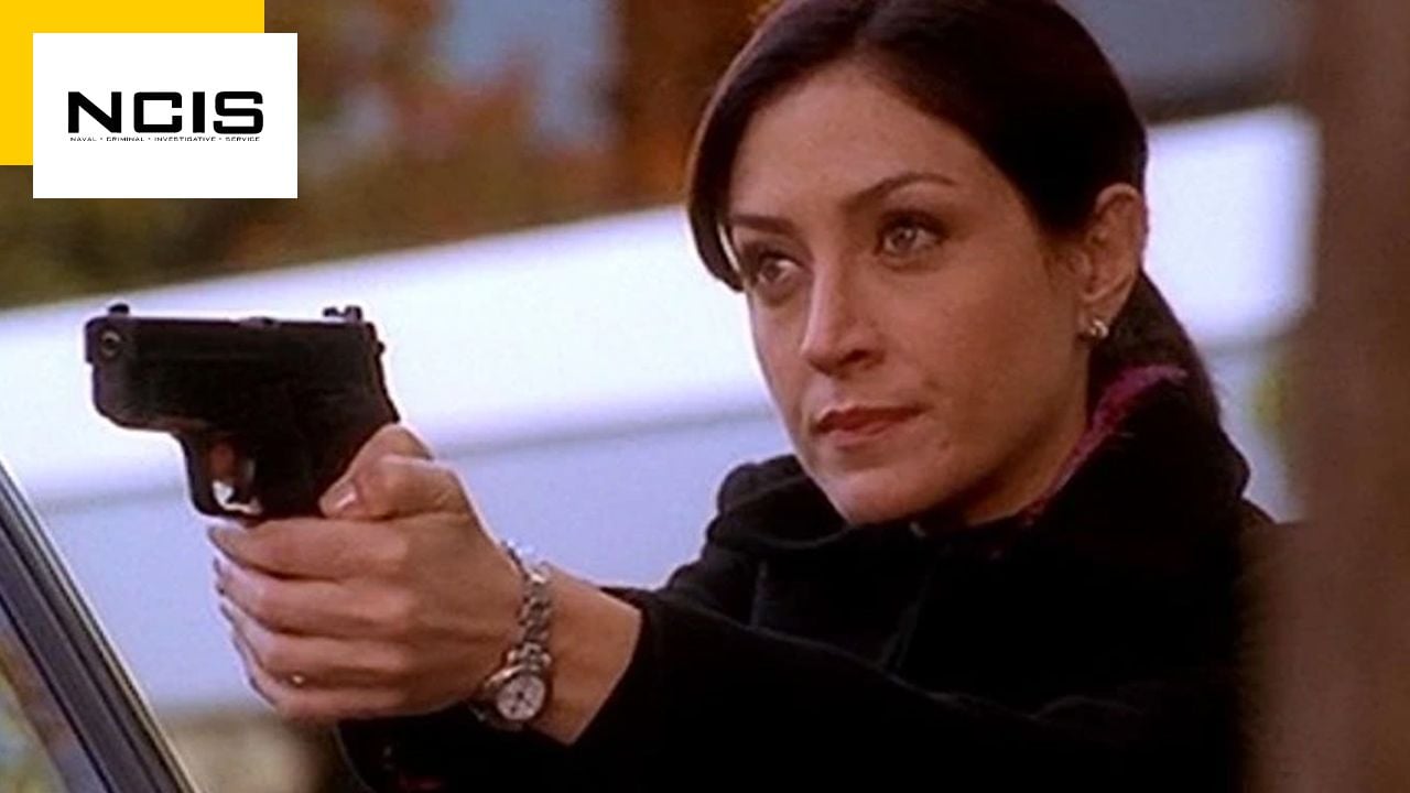 ’10 and a half months a year, 17 hours a day’: Why Sasha Alexander (Kate) left NCIS