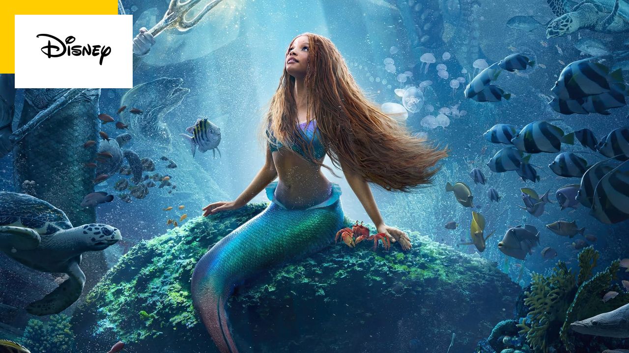 Disney’s Paradox: Revamping the Studio’s Classic?  62% of the French are against it… but 63% have become more tolerant thanks to it