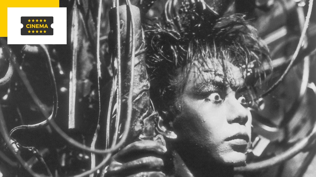 Prohibited for children under 16 and endorsed by Tarantino, this terrifying Japanese masterpiece will shake your guts!