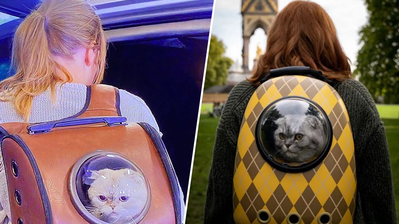 Taylor Swift, Argylle : coïncidence, influence ou vrai lien ?