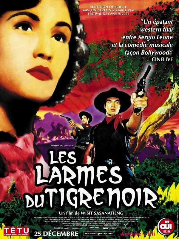 Les Larmes du Tigre Noir streaming gratuit