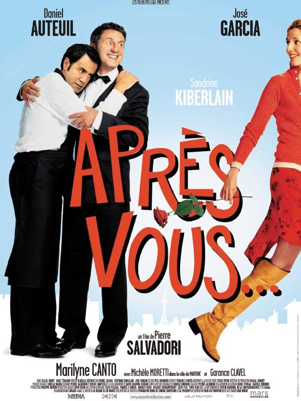 Après vous... streaming vf gratuit