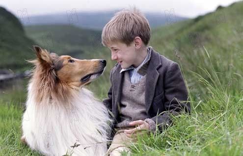 Photo du film Lassie - Photo 8 sur 27 - AlloCiné