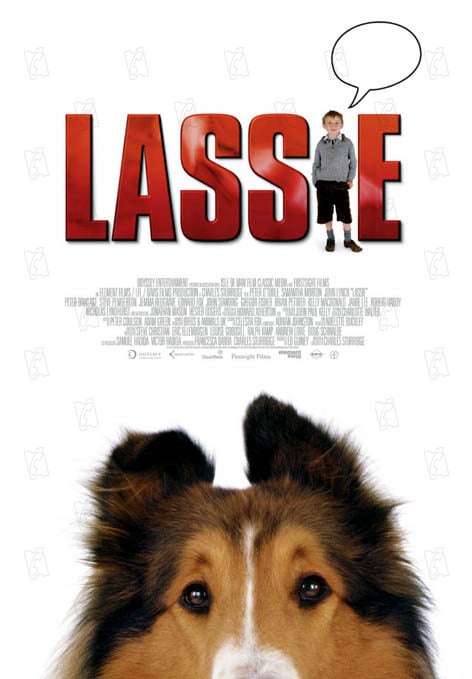 Photo Du Film Lassie Photo 1 Sur 27 Allociné