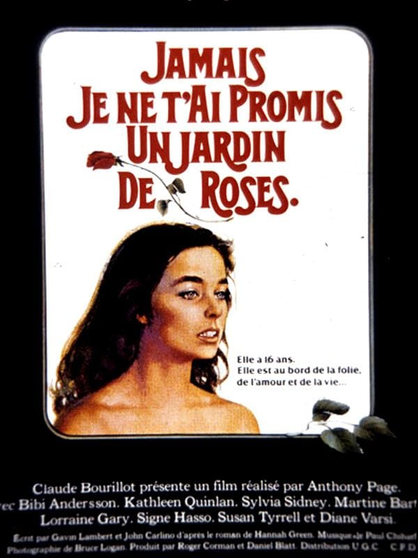 Jamais je ne t'ai promis un