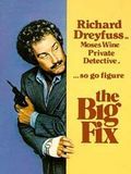 The Big Fix streaming gratuit