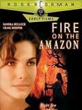 Fire on the Amazon streaming
