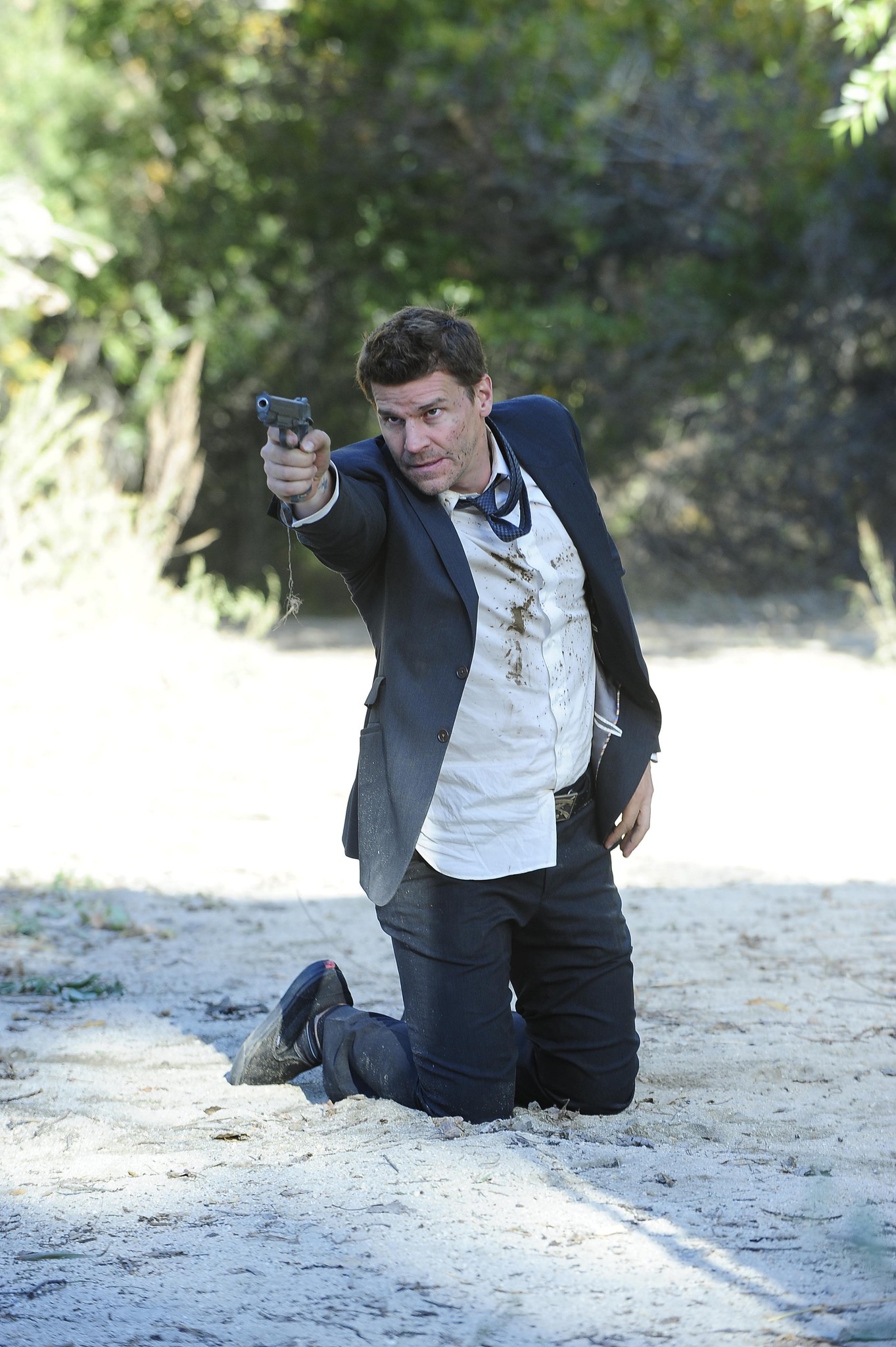 Bones : Bones : Photo David Boreanaz - 861 Sur 1033 - AlloCiné