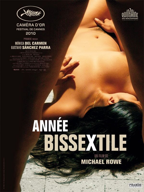 Année Bissextile streaming
