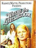 Where the Lilies Bloom streaming gratuit