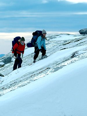 The Mountain streaming fr