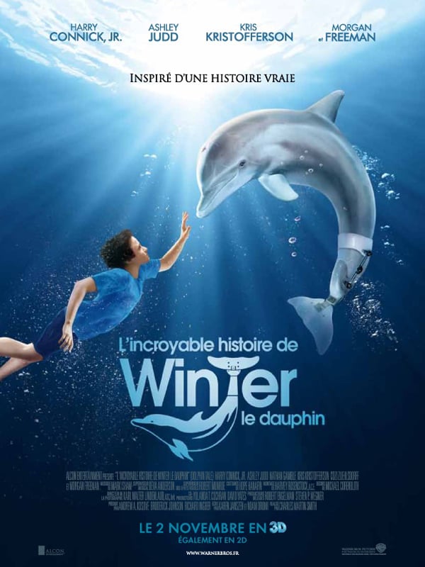 L Incroyable Histoire De Winter Le Dauphin Film 11 Allocine
