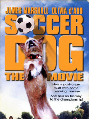 Soccer Dog streaming