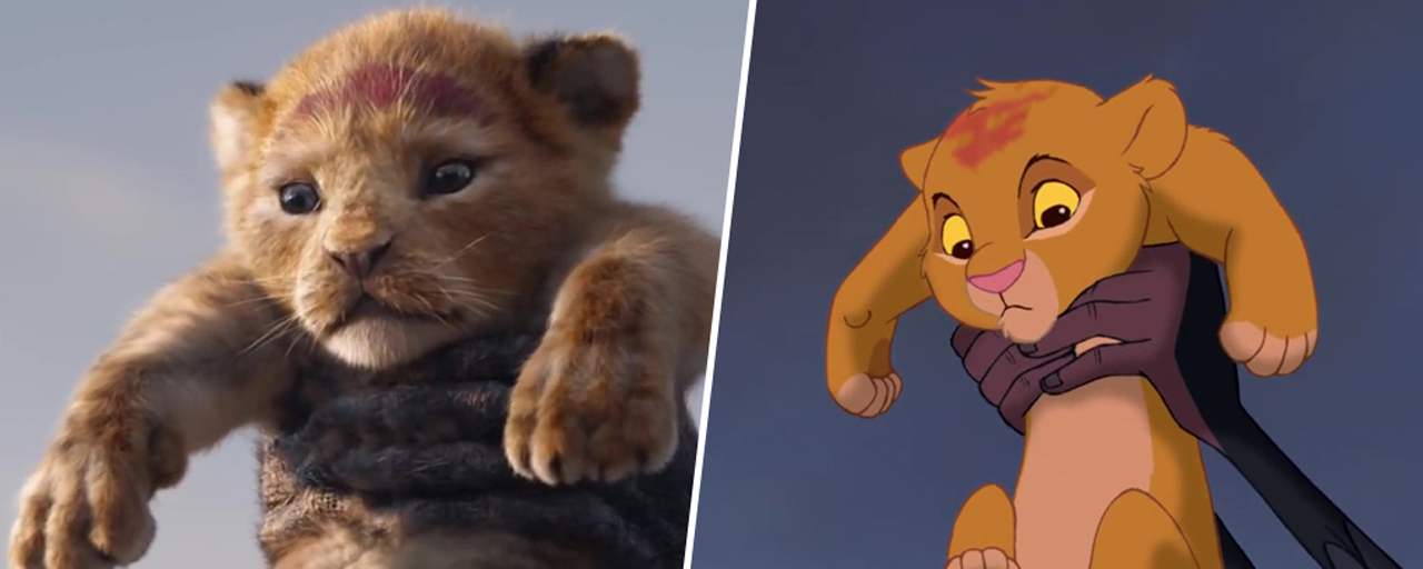 Le Roi Lion : la comparaison entre la version live et le film d'animation -  AlloCiné