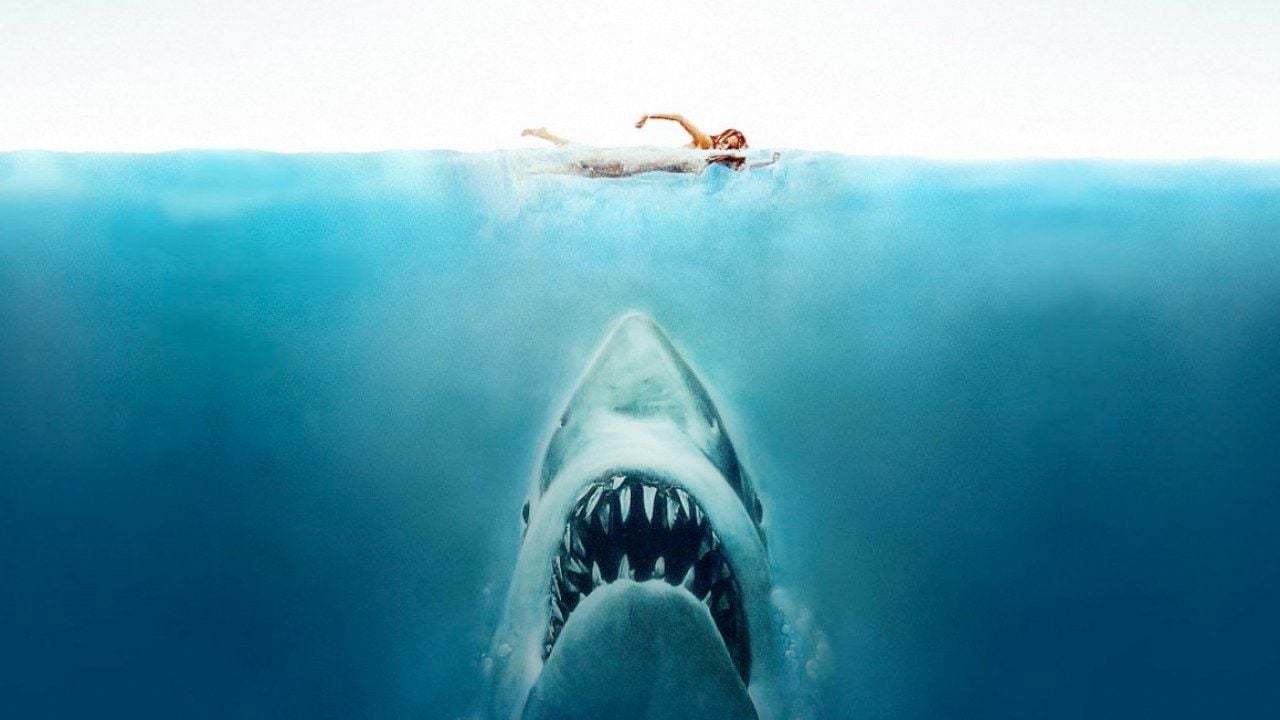 Requin Des Dents De La Mer Les Dents de la mer : la petite histoire derrière l'affiche la plus célèbre  du cinéma - Actus Ciné - AlloCiné