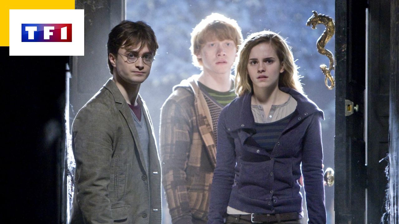 Harry Potter Return to Hogwarts: These editing errors that you will not find on TF1