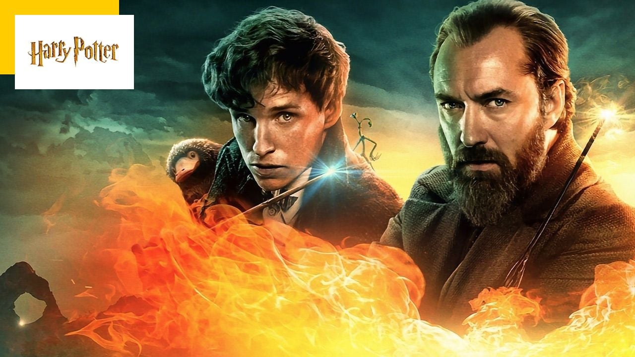 Harry Potter: Are Fantastic Beasts 4 and 5 still planned?