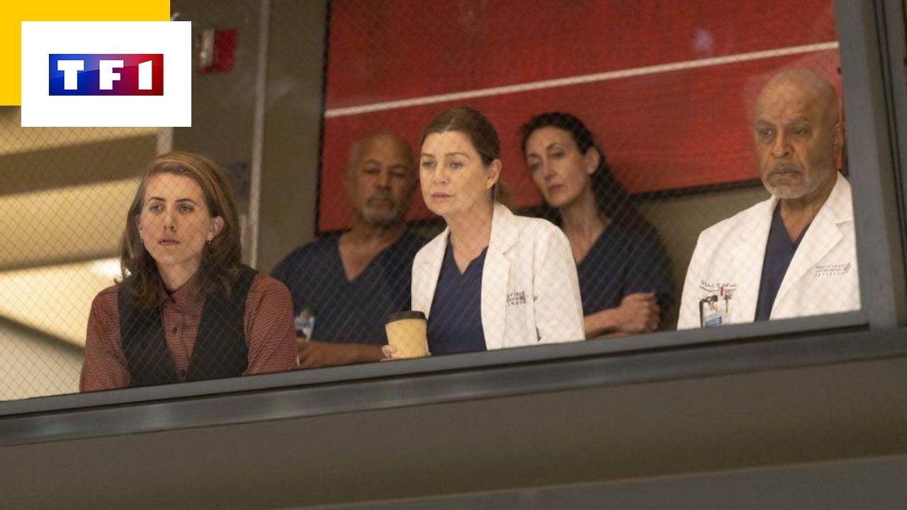 Gray’s Anatomy is Deprogrammed: When will the next episodes air on TF1?