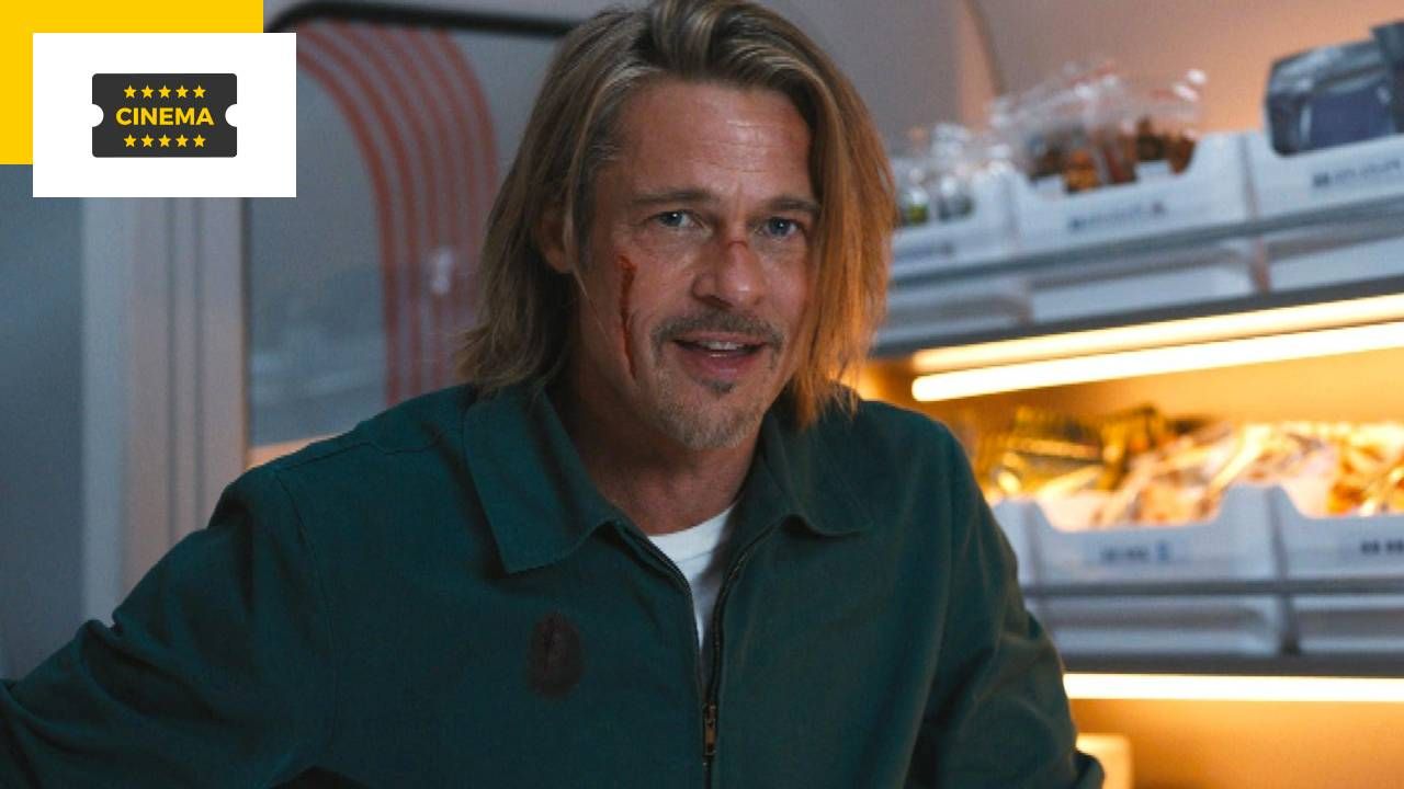 Before Bullet Train, Brad Pitt made a cameo in the director’s other film.  which one