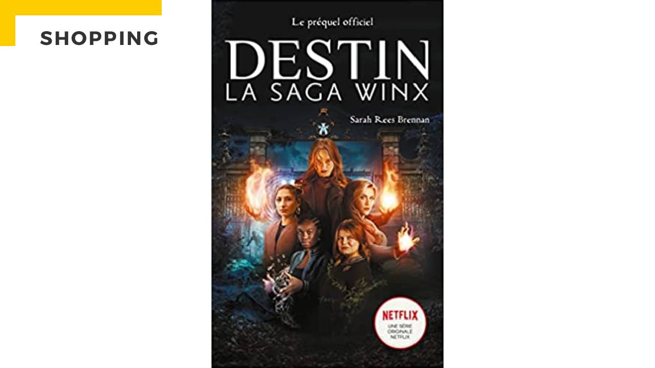  Destin : La Saga Winx - Le roman officiel de la série Netflix:  9782016285183: Corrigan, Ava, Netflix, Demoulin, Axelle, Ancion, Nicolas:  Books