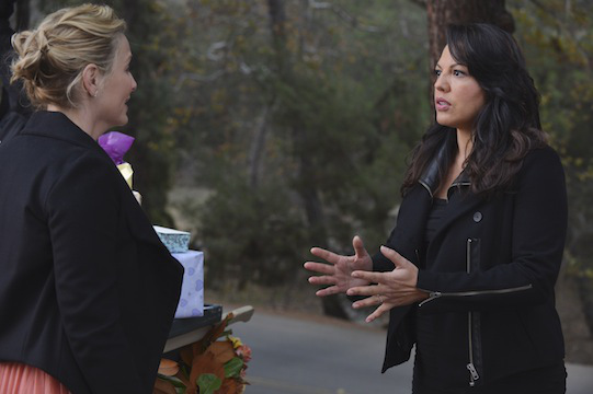 jessica capshaw and sara ramirez