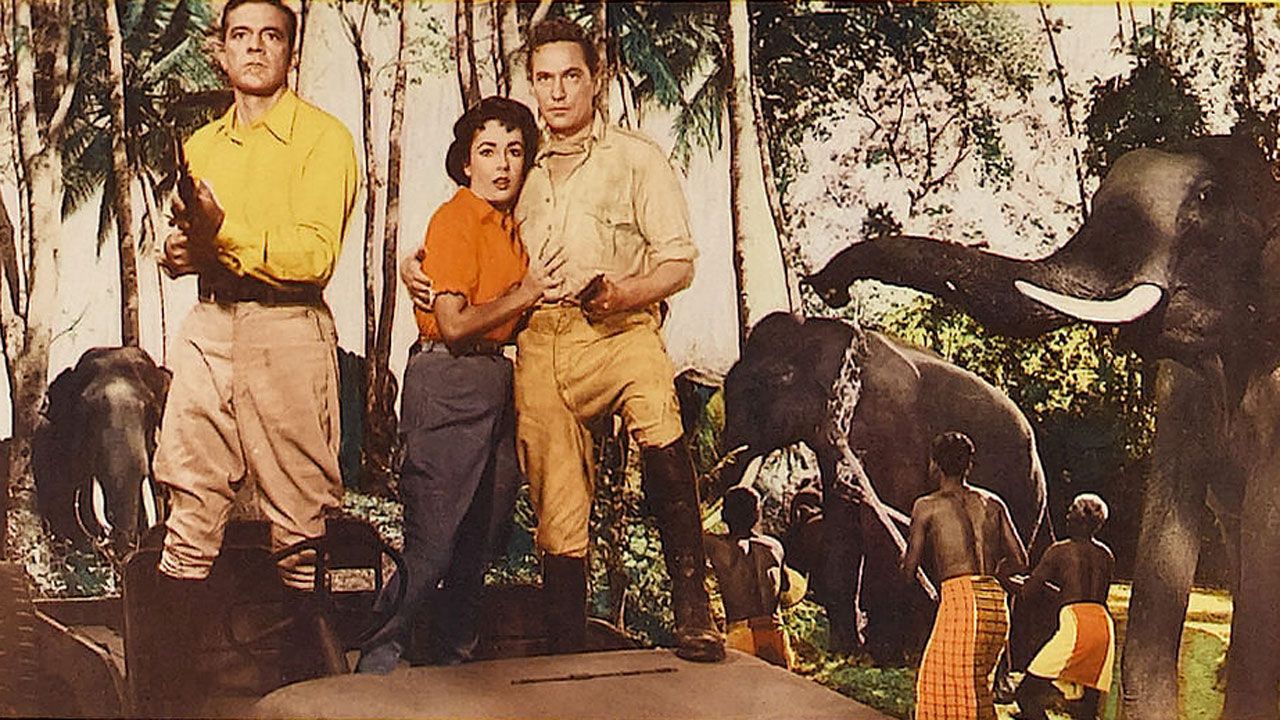 La Piste Des éléphants 1954 Streaming Photo du film La Piste des éléphants - Photo 1 sur 1 - AlloCiné
