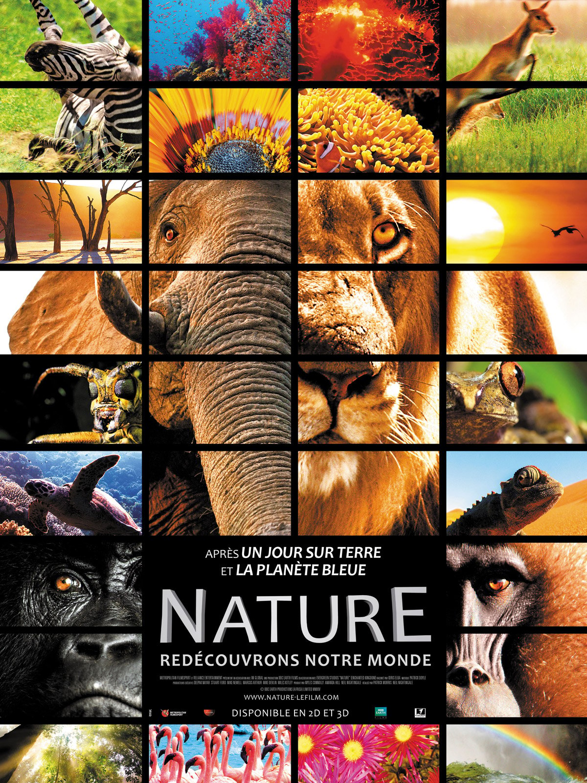 L'Appel de la nature [Blu-ray + DVD + Numérique] (Bilingue) 