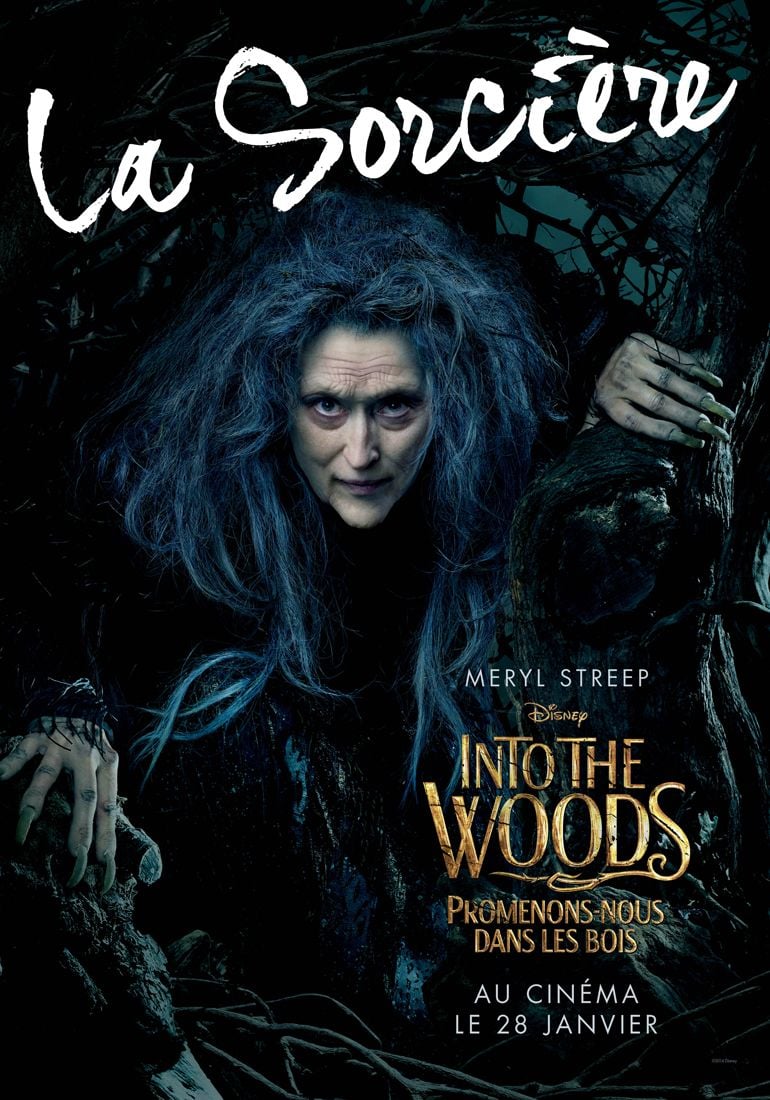 Promenons Nous Dans Les Bois Film Disney Affiche du film Into the Woods, Promenons-nous dans les bois - Photo 41